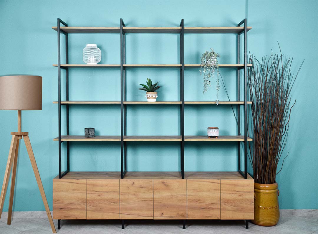 βιβλιοθήκη Dani